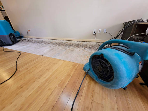 Professional Water Removal technician working in Independence, KS